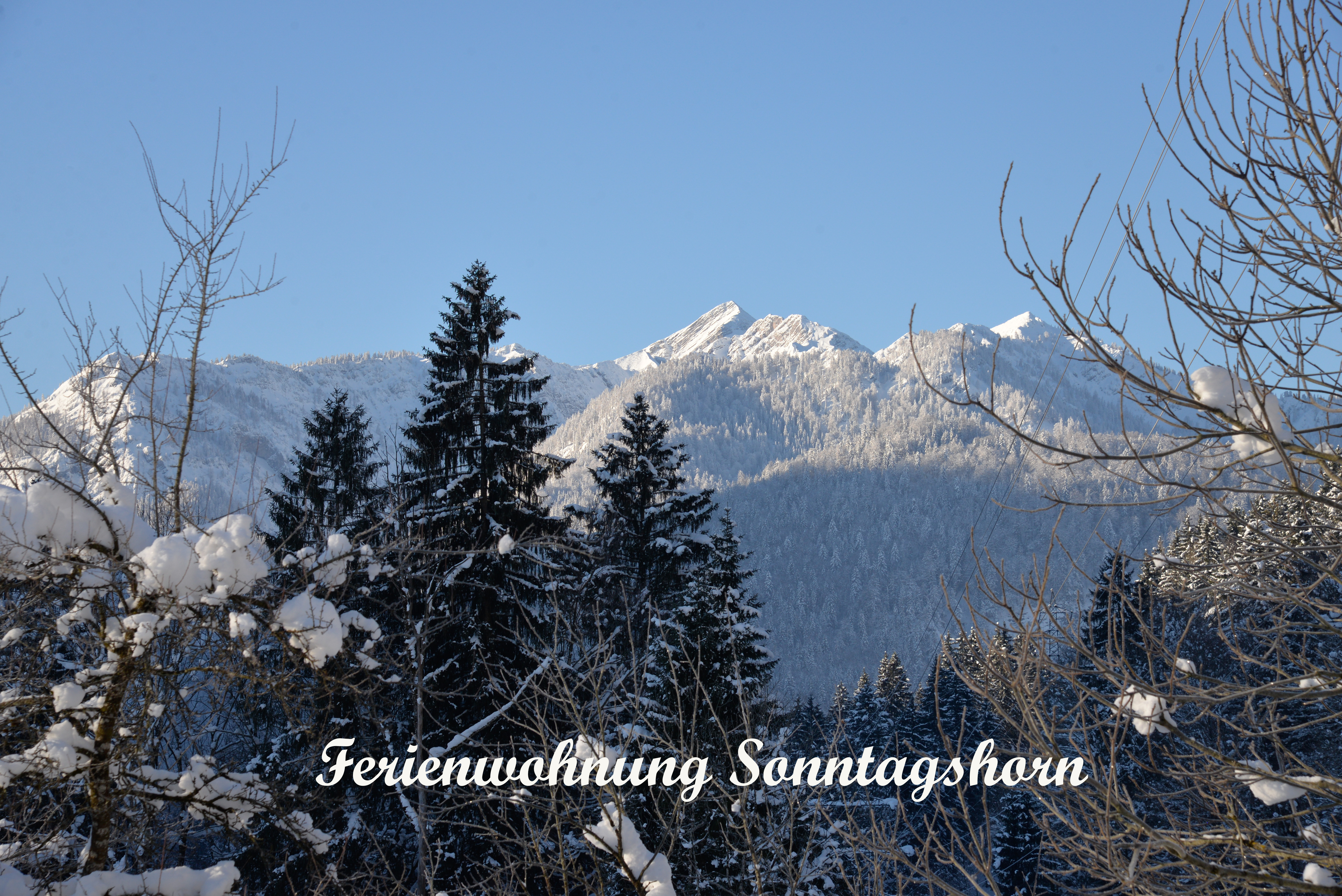 Ausblick zum Sonntagshorn