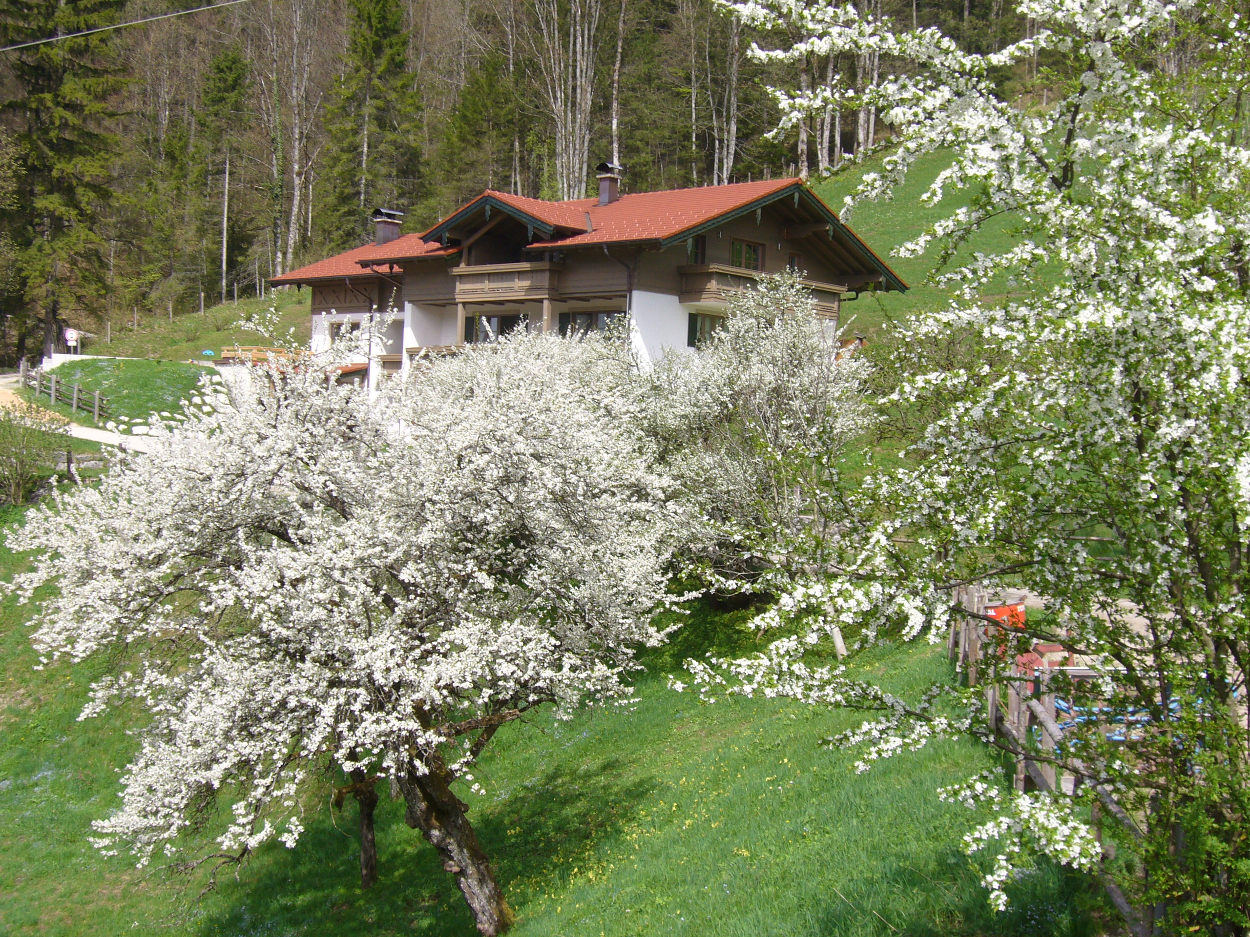 Haus Eicher im Frühling